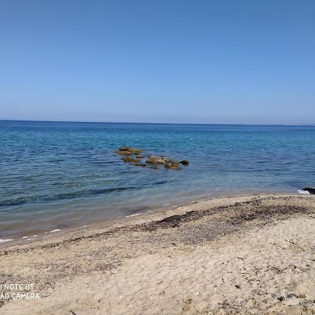 Villa Lavender And Sea Nea Poteidaia Esterno foto